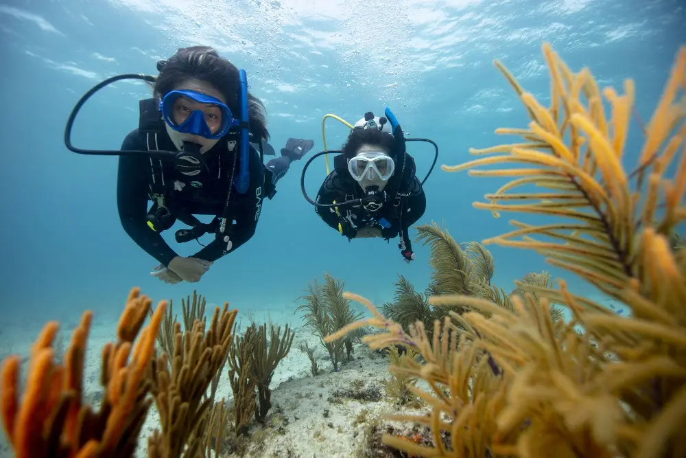 Bautismo de buceo