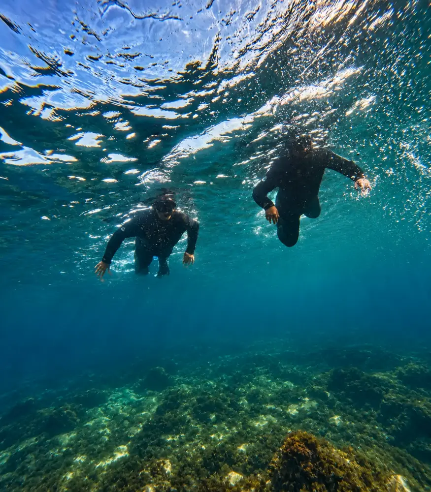 Snorkel guiado en Tarifa
